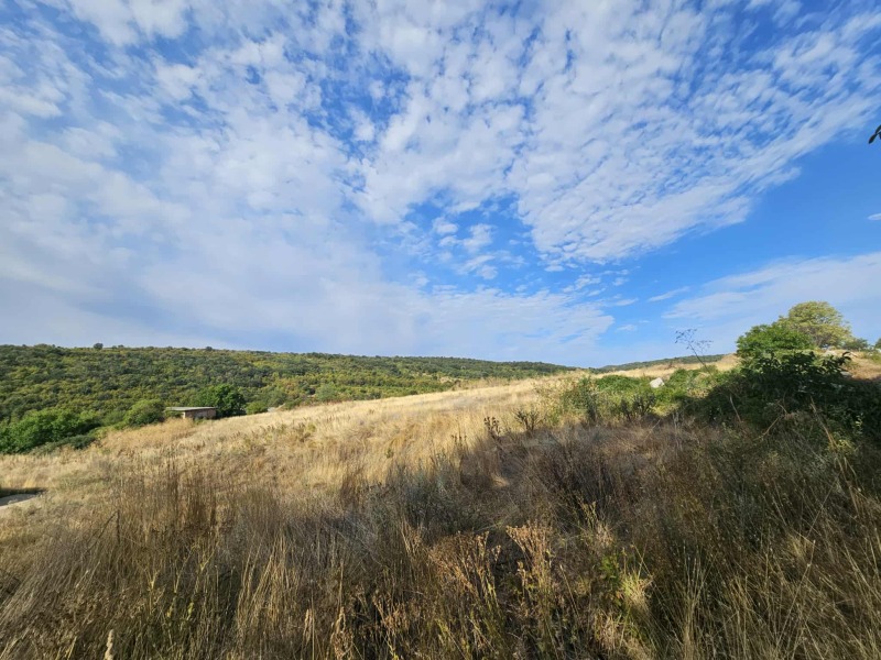 For Sale  Plot region Stara Zagora  , Lyulyak , 51896 sq.m | 48410664 - image [5]