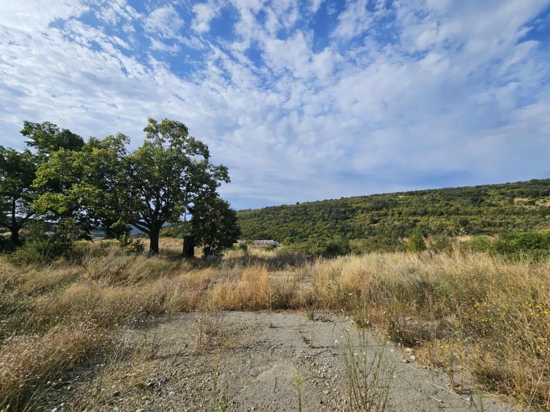For Sale  Plot region Stara Zagora  , Lyulyak , 51896 sq.m | 48410664 - image [2]