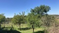 Продава ПАРЦЕЛ, град Русе, Средна кула • 17900 € • 34515357 — Holmes.bg