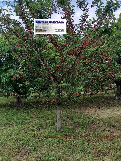 ������� ������ | Imot.bg � ����������� 2