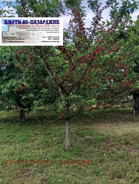������� ������ | Imot.bg � ����� ������ 2