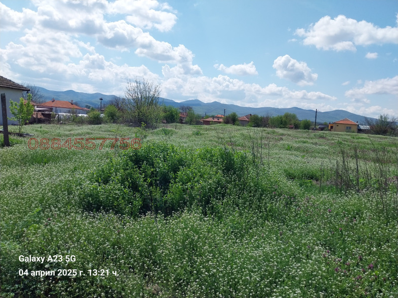 Продава  Парцел област Хасково , с. Сива река , 802 кв.м | 72215674 - изображение [10]