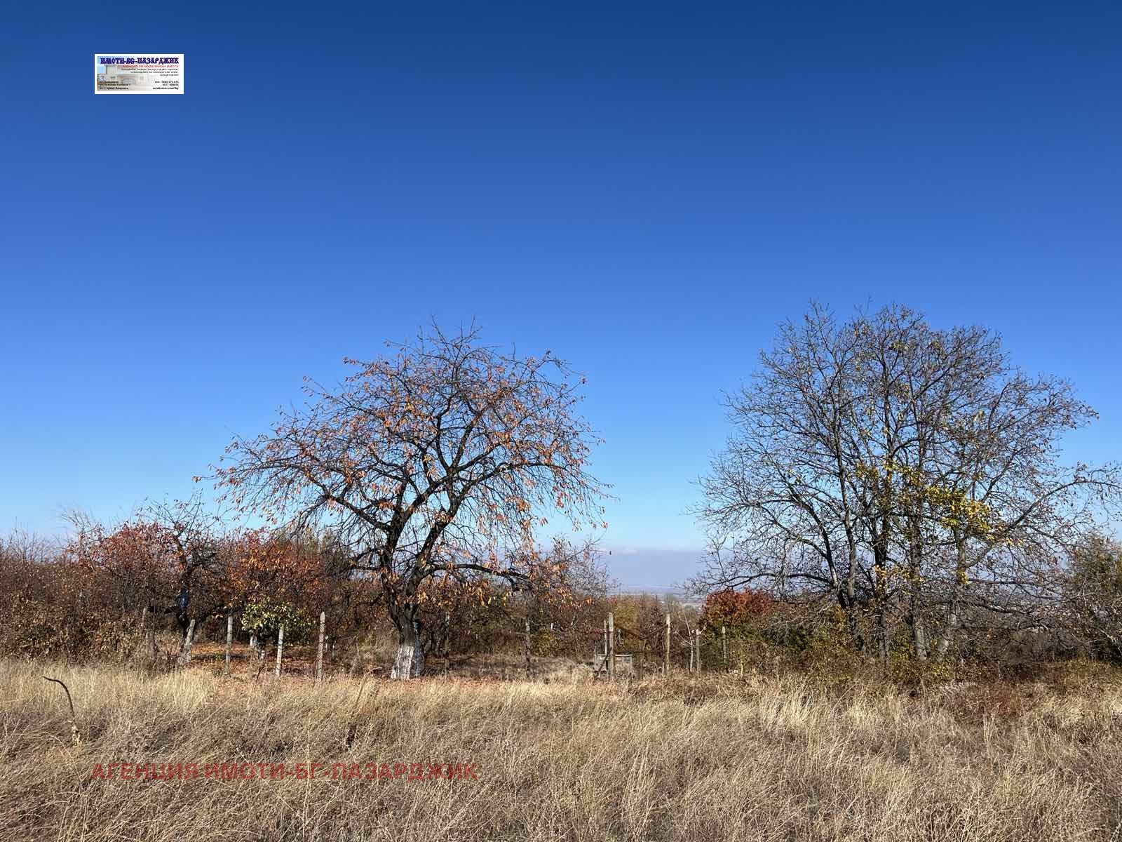 Продава ПАРЦЕЛ, с. Паталеница, област Пазарджик