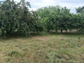 Продава ПАРЦЕЛ, с. Паталеница, област Пазарджик, снимка 1
