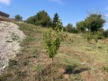 Продава ПАРЦЕЛ, град Плевен, Кайлъка • 232610 € • 61769722 — Holmes.bg