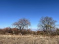 Продава  Парцел област Пазарджик , с. Паталеница , 530 кв.м | 30059779