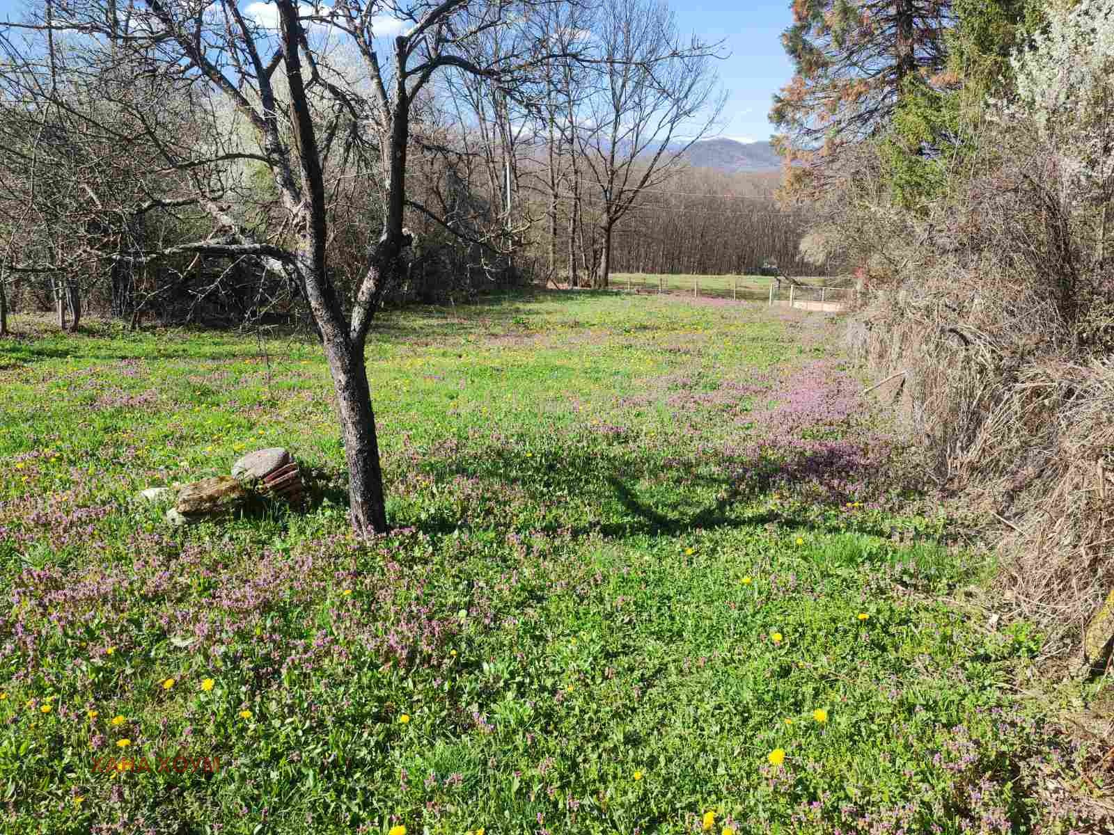 ������� ������ | Imot.bg � ����������� 8