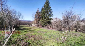 ������� ������ | Imot.bg � ����� ������ 11