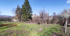 ������� ������ | Imot.bg � ����� ������ 10