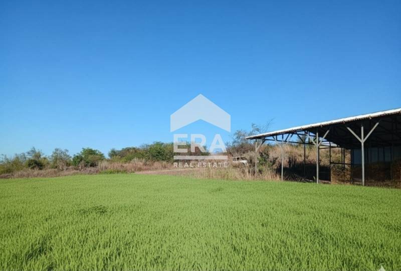 In vendita  Complotto Ruse , v.z. Rusofili , 858 mq | 94272730 - Immagine [4]