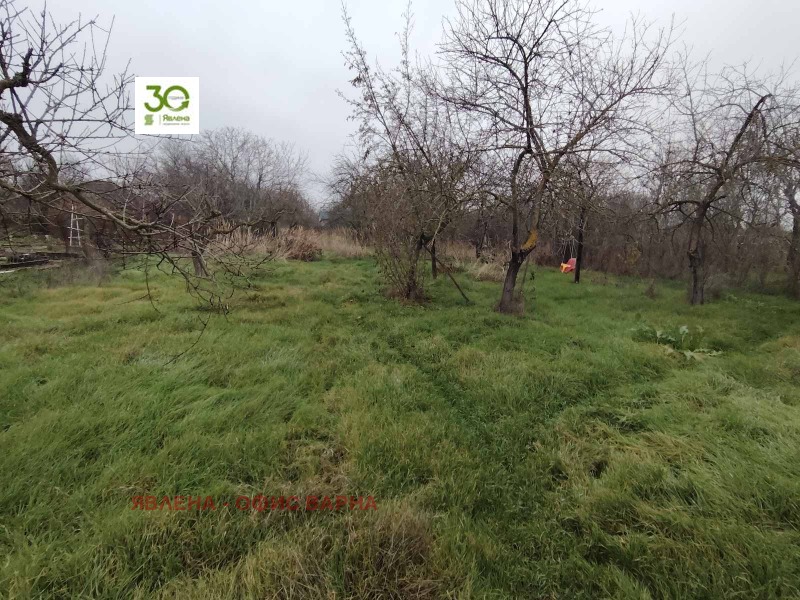 Продава КЪЩА, с. Равна гора, област Варна, снимка 3 - Къщи - 53593585