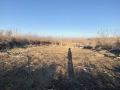 Продава ПАРЦЕЛ, гр. Русе, в.з. Русофили, снимка 2