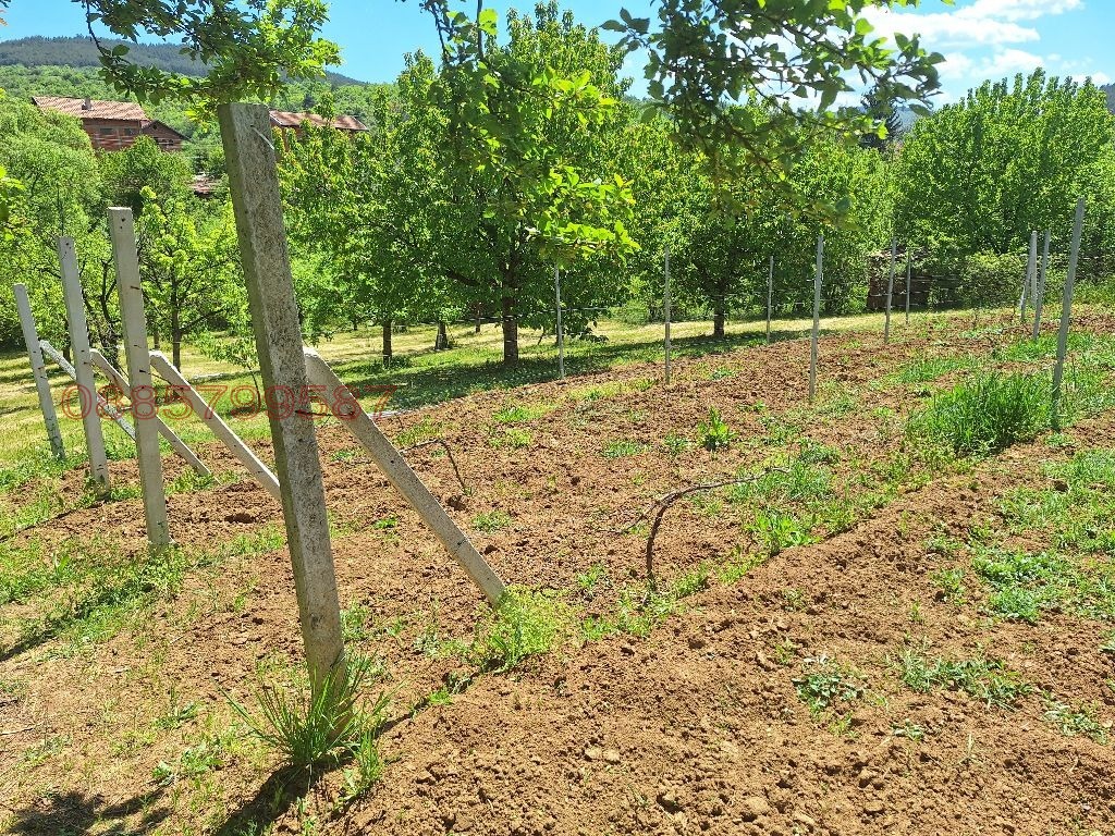 ������� ������ | Imot.bg � ����������� 15