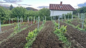 ������� ������ | Imot.bg � ����� ������ 7