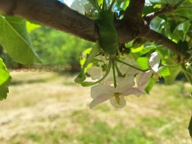 ������� ������ | Imot.bg � ����� ������ 2