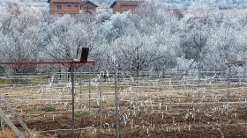 ������� ������ | Imot.bg � ����� ������ 17