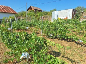 ������� ������ | Imot.bg � ����� ������ 14