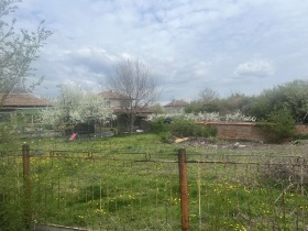 ������ ������� ������