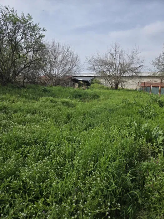 Продава КЪЩА, с. Ръжево, област Пловдив, снимка 2 - Къщи - 54249897
