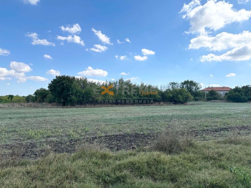 À venda  Trama região Dobrich , Vidno , 4940 m² | 93916496 - imagem [3]