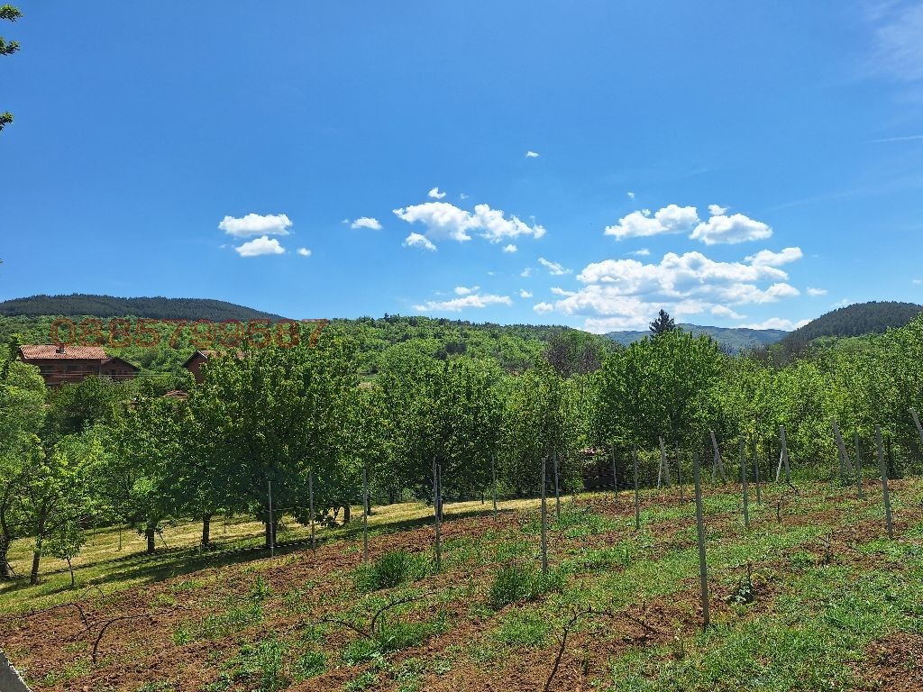 Продава ПАРЦЕЛ, с. Мърводол, област Кюстендил, снимка 3 - Парцели - 54404946