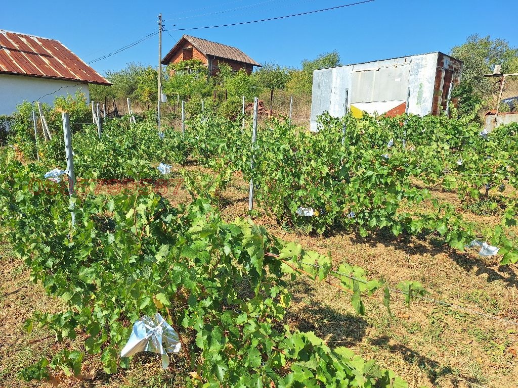 Продава ПАРЦЕЛ, с. Мърводол, област Кюстендил, снимка 14 - Парцели - 54404946