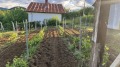 Продава ПАРЦЕЛ, с. Мърводол, област Кюстендил, снимка 10