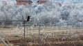 Продава ПАРЦЕЛ, с. Мърводол, област Кюстендил, снимка 17