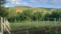 Продава ПАРЦЕЛ, с. Мърводол, област Кюстендил, снимка 1