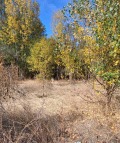 Продава ПАРЦЕЛ, гр. София, с. Кубратово, снимка 1