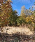 Продава  Парцел град София , с. Кубратово , 4807 кв.м | 80996865 - изображение [2]