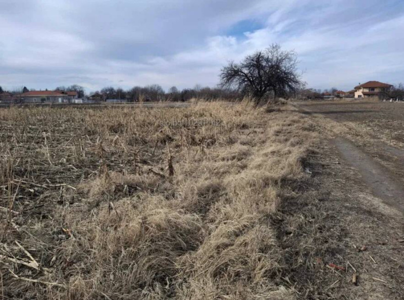 Na prodej  Spiknutí oblast Plovdiv , Jagodovo , 2900 m2 | 22019512