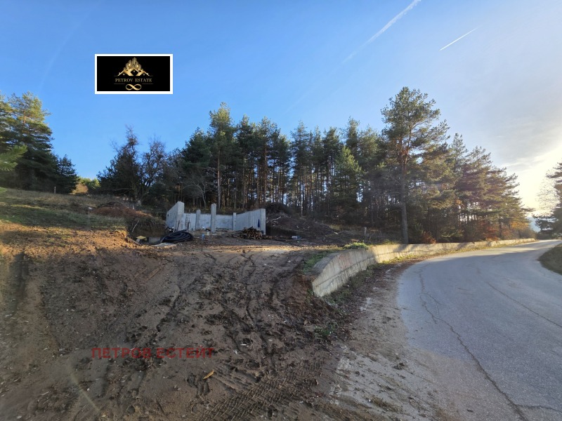 Продава ПАРЦЕЛ, гр. Батак, област Пазарджик, снимка 4 - Парцели - 52723389