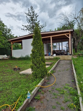 Cselekmény Kokaljane, Sofia 4