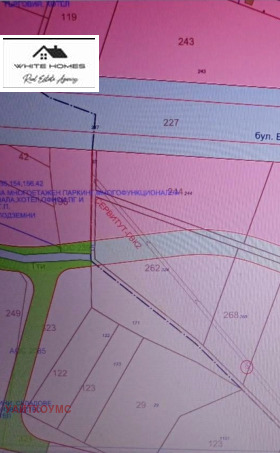 ����� ������� ������,���� �����, ������ �����