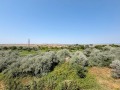 Продава  3-стаен област Бургас , к.к. Слънчев бряг , 60 кв.м | 24729350 - изображение [14]