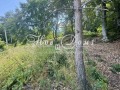 Продава  Парцел област Пловдив , с. Дедево , 429 кв.м | 54423987 - изображение [2]