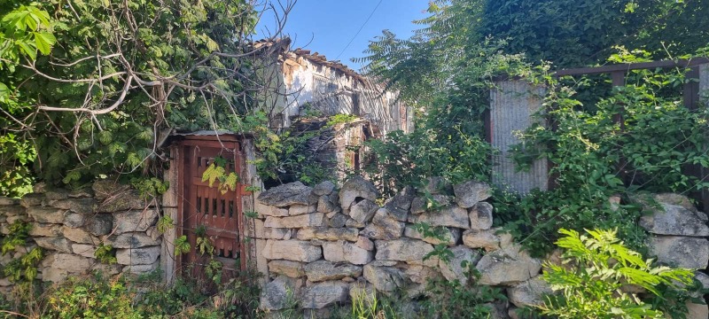 Zu verkaufen  Haus Razgrad , Schitniza , 48 qm | 90034805 - Bild [3]