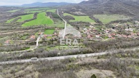 ����� ������� ������,�. ����������, ������ ������ �������