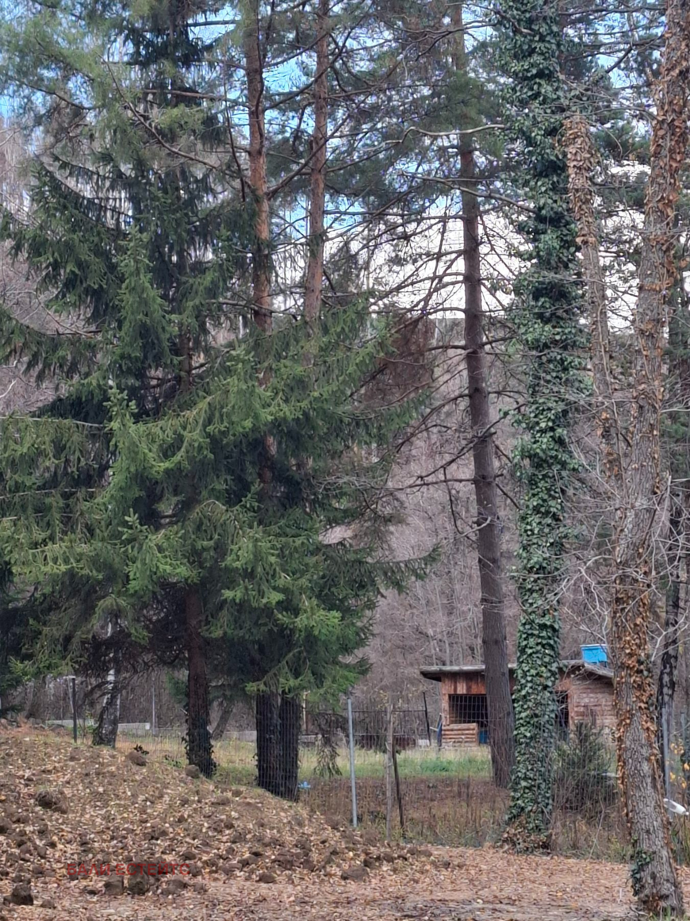 Продава ПАРЦЕЛ, гр. София, с. Бистрица, снимка 2 - Парцели - 55971309