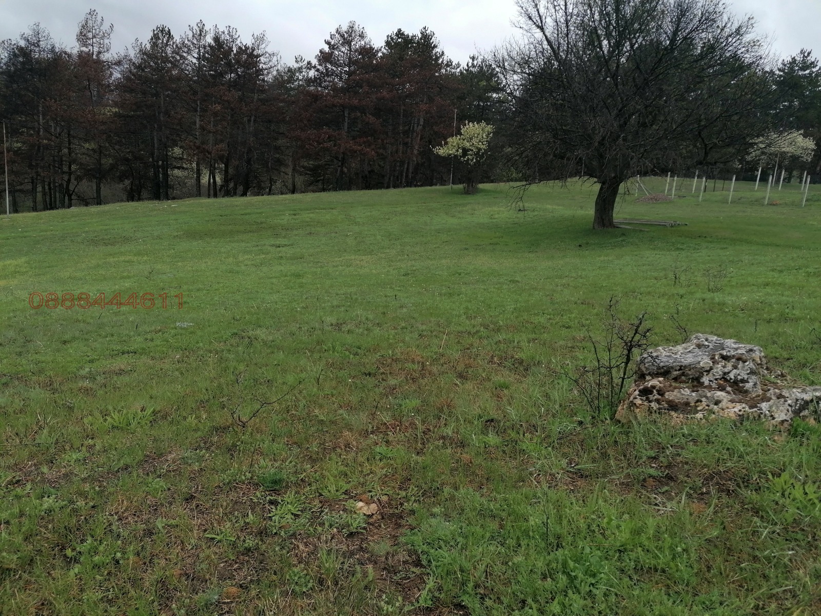 ������� ������ | Imot.bg � ����������� 4