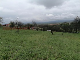 ����� ������� ������,�. ��������, ������ �����