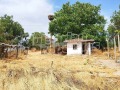 Продава КЪЩА, област Ямбол, с. Малко Шарково • 12500 € / 24447.88 лв. • 56432721 11