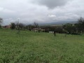 Продава  Парцел област София , с. Богьовци , 500 кв.м | 96694714