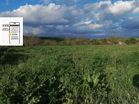 Parcelle Dolina, région de Dobritch