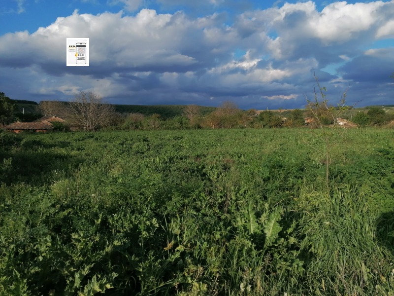 Til salgs  Plott region Dobrich , Dolina , 2400 kvm | 24949141