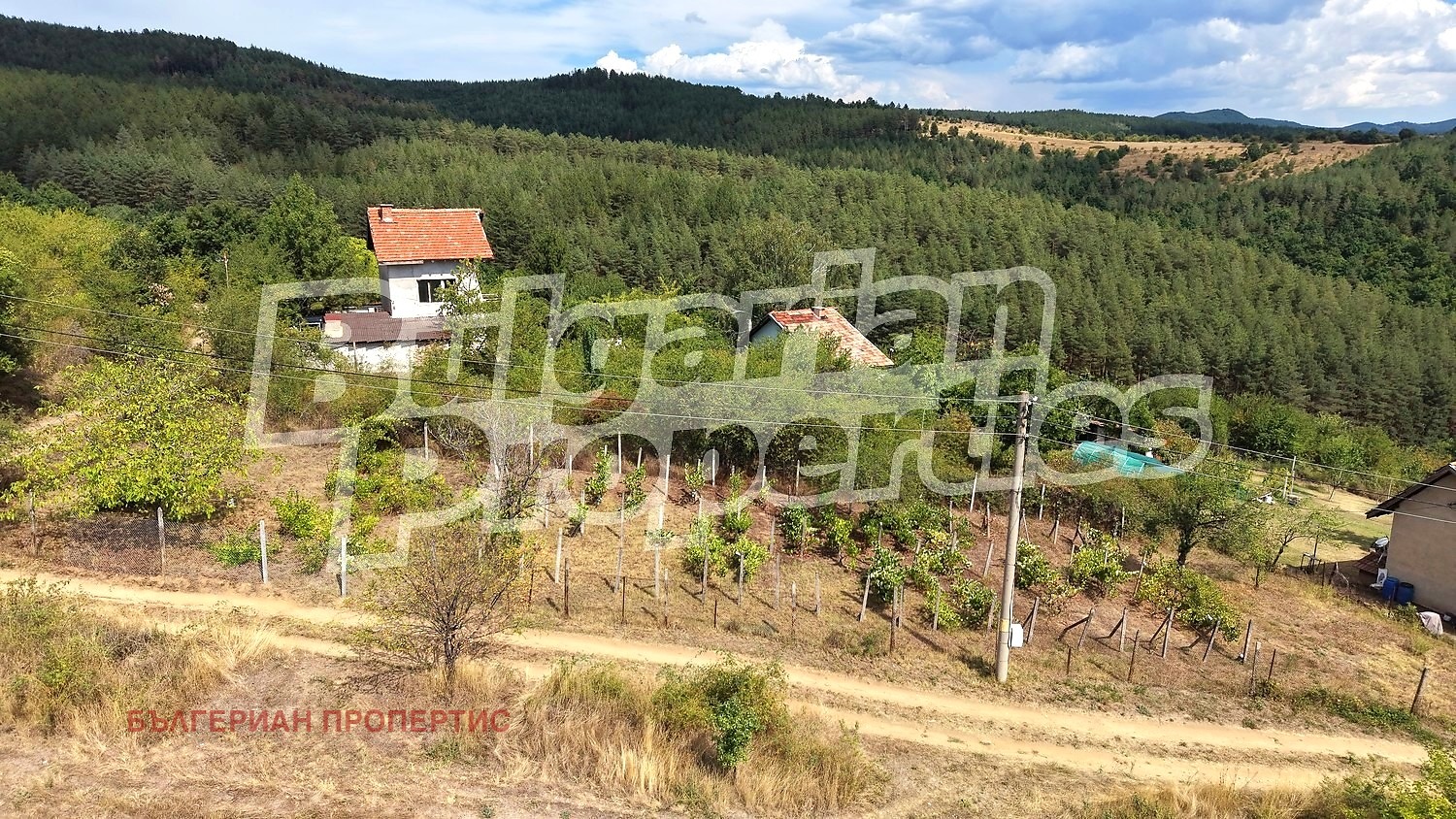 Продава ПАРЦЕЛ, с. Горна Василица, област София област, снимка 2 - Парцели - 56287951