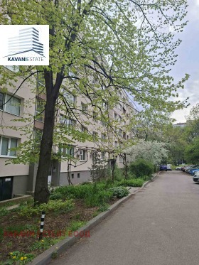 ����� ������� 2-�����,���� �����, ������