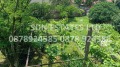 Продава КЪЩА, област Стара Загора, с. Черганово • 170000 € • 24218121 — Holmes.bg