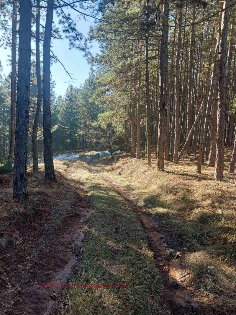 Продава ПАРЦЕЛ в град София, с. Подгумер - 1323 кв.м / 33 000 € » 64 542.39 лв., ТЕРРА НЕДВИЖИМИ ИМОТИ